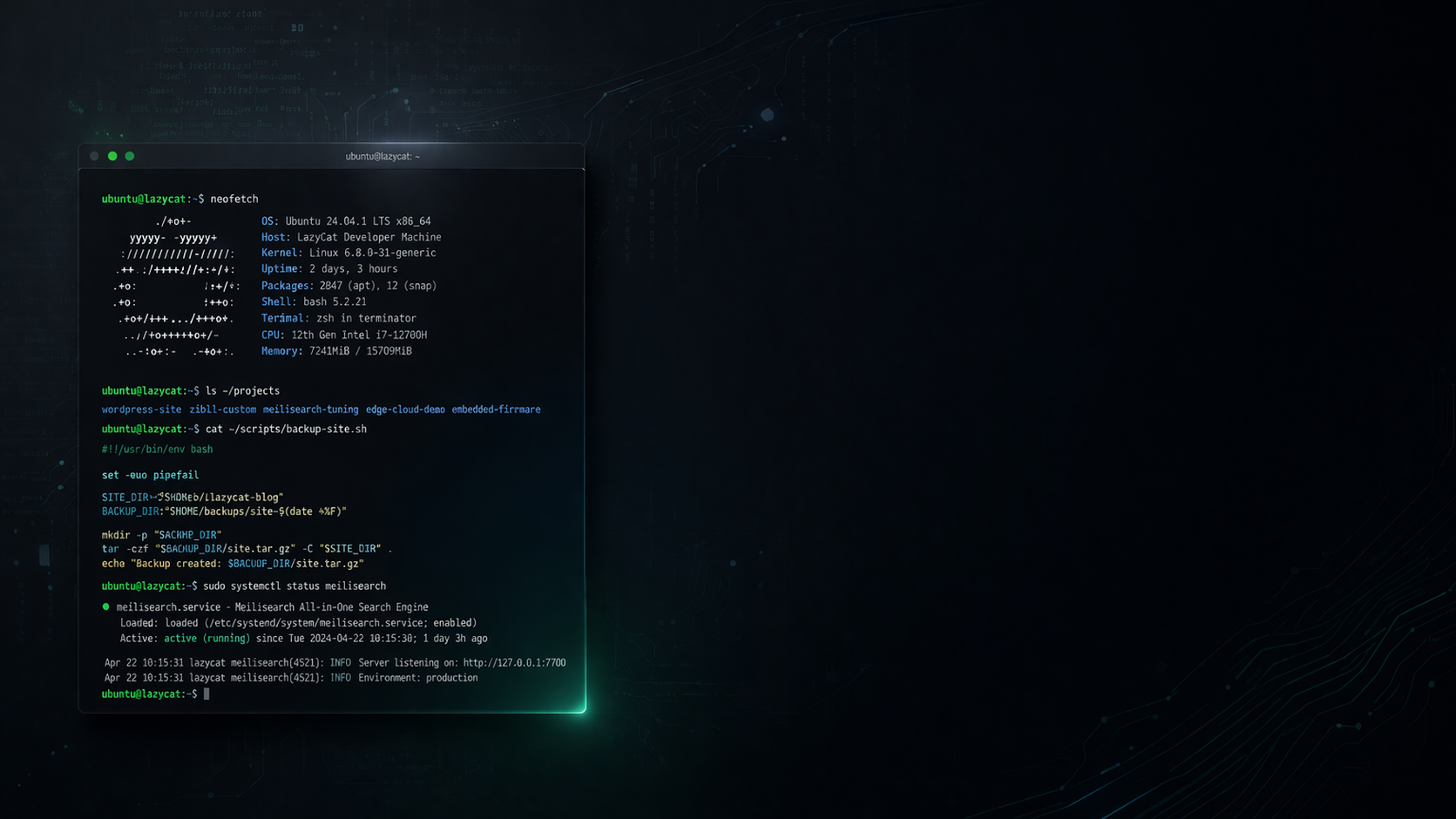 Linux · 建站 · 搜索优化实践-懒猫